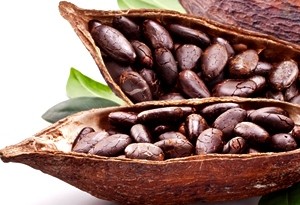 Semi di cacao dove trovarli e come usarli